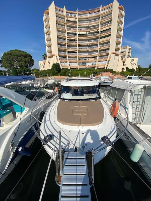 Sejour Sur Bateau De Plaisance Hotel Mandelieu Kültér fotó